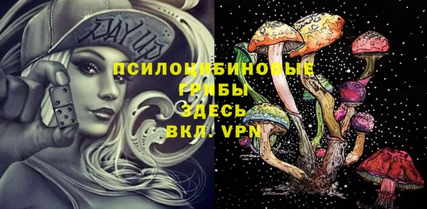 экстази Елизово