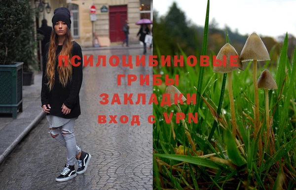 таблы Елабуга