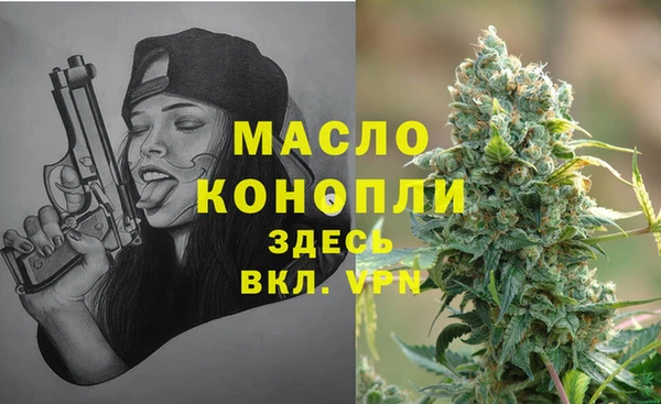 spice Ельня