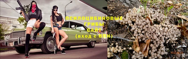spice Ельня