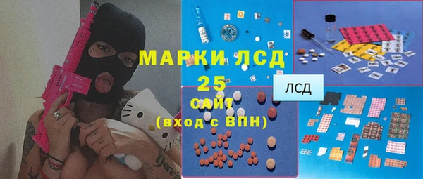 spice Ельня