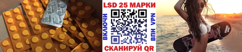 дарнет шоп  Себеж  ОМГ ОМГ ССЫЛКА  ЛСД экстази кислота 