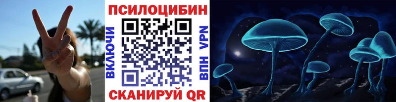 Псилоцибиновые грибы GOLDEN TEACHER  купить наркотик  Себеж 